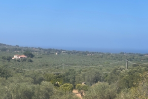 9f033c1a bc3b 416a 932a 05afa7b8b45b