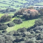 IMG 20260310 WA0014